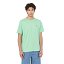 DICKIES Camiseta Mapleton Mens Short-Sleeved T-Shirt Mint